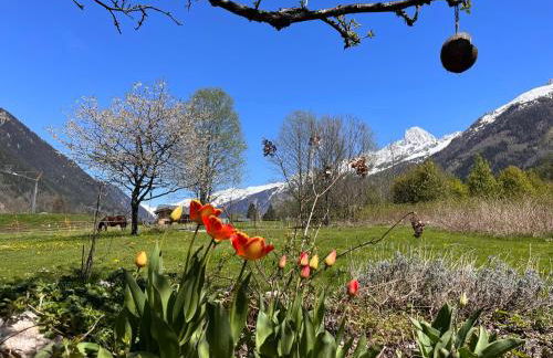 Tiki Lodge - hot tub & sauna - Photo 71