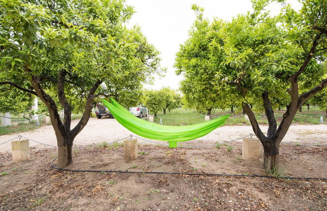 Casina Farnarari - Photo 32