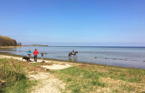 Cozy Home In Zierow With Sauna - Photo 34