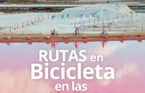 Sunny sweet apartment Olga - Foto 77