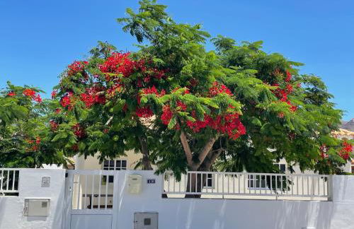 Casa Enamorado - Photo 27