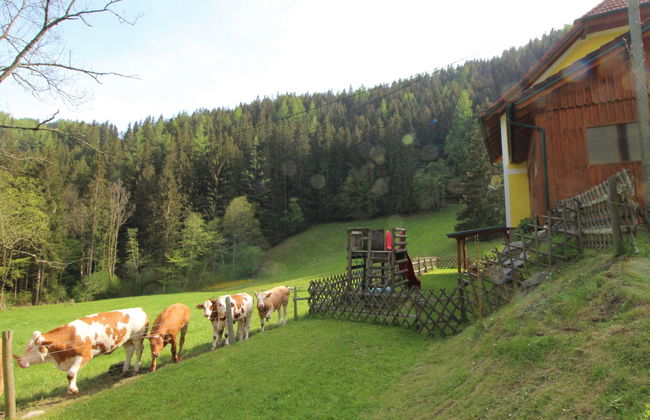 Krechen Alm - Foto 37