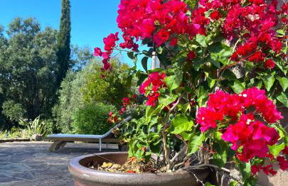 Villa avec piscine, parc naturel Estérel, nature, 15 min de Mandelieu - Foto 33