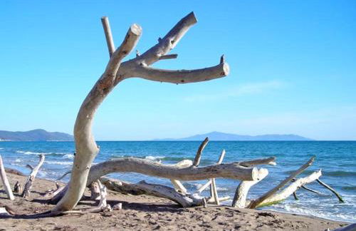 Villa Podere 109 - BioWine - Foto 66