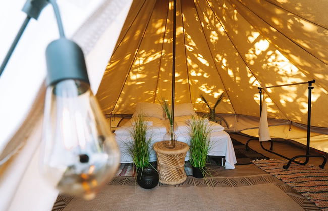 Topcamp Havblikk - Helgeland - Photo 22