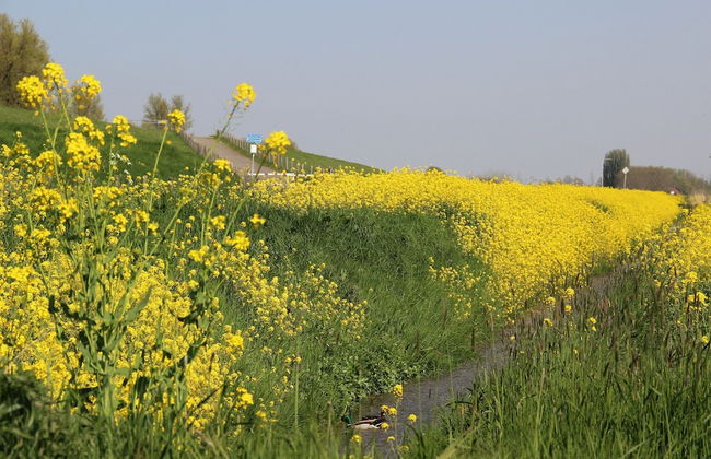 Cozy Vacation Home With Terrace - Photo 40