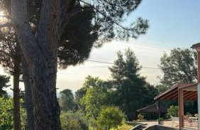 House in the Woods - Foto 62