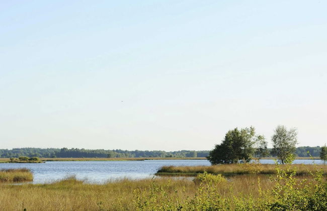 Bungalow With Fireplace, not far From Assen - Photo 15