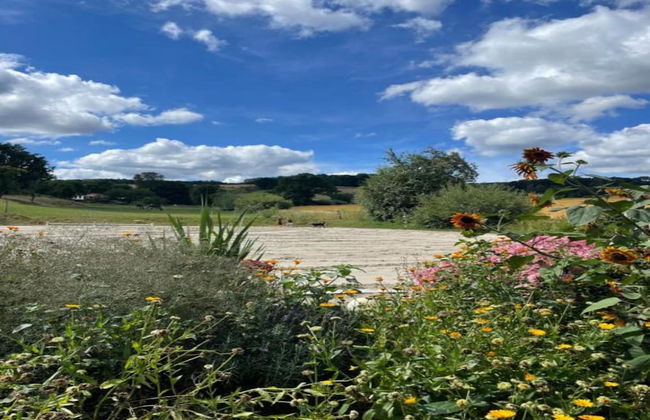 Bungalow im Feriendorf Uslar mit Gartenterrasse - Foto 25