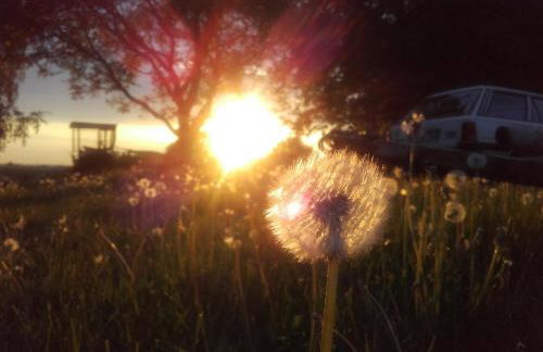 Forsthof Niendorf - Foto 28