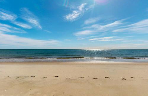 Seashells on Bank - Foto 20