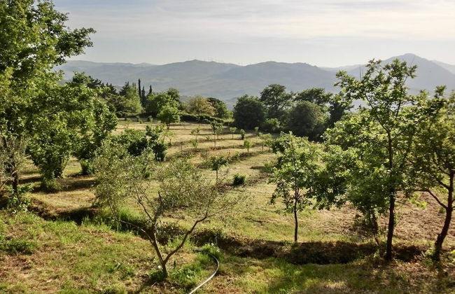 Agriturismo Cuca - Photo 13