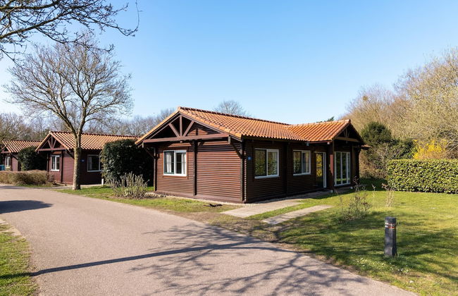 Bungalow in Veluwe Near Harderwijk - Photo 1