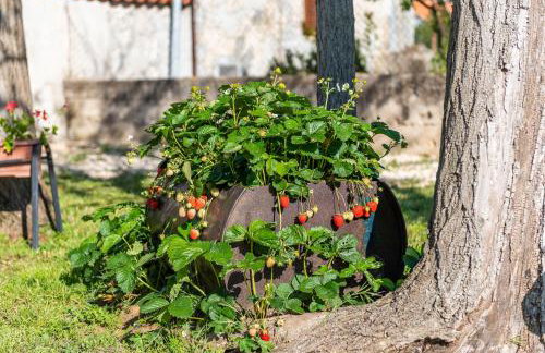 Villa Toni by AdriaticLuxuryVillas - Foto 22