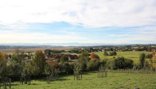 Am Ampermoos - Foto 3