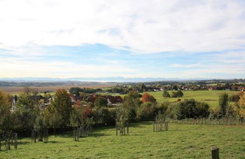 Am Ampermoos - Foto 3