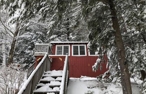 Little Red Wing 50s Lake Cabin - Foto 12