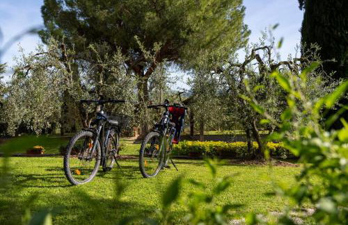Villa Sunshine apartments - Foto 67