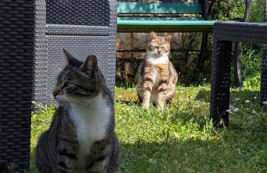 Apartments Glam - Photo 4