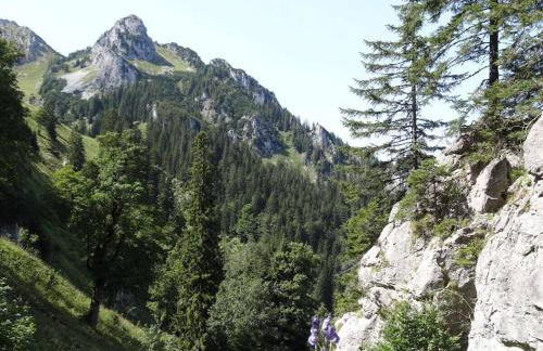 Holiday apartment with 2 bedrooms - Foto 30