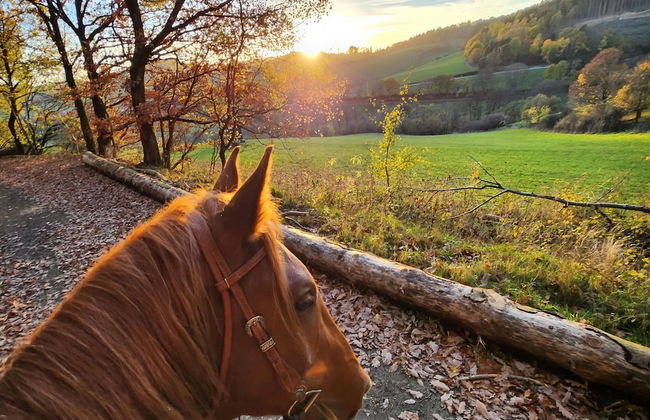 Ferienwohnung mit Bergblick - Foto 45