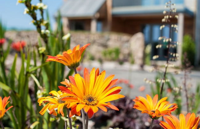 Una St. Ives - Foto 49