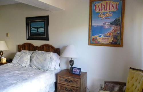 Catalina's Got Cart Condo - Foto 8