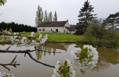 Le gîte du Haut-Breuil 4-10 pers proche de Beauval châteaux de la Loire - Foto 3