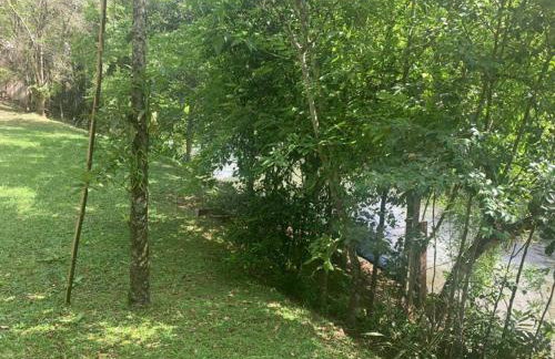 Sítio em área rural, ao pé da Serra Gaúcha. - Foto 63