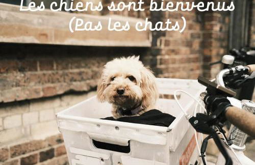 Vue Panoramique - Parking - Jazz 7min - Gare 200m - Foto 20