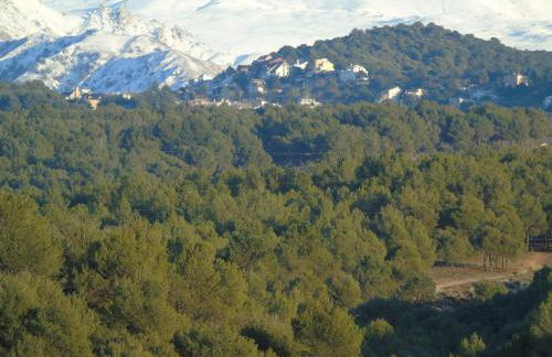 Apartamentos Turísticos Cumbres Verdes - Foto 46