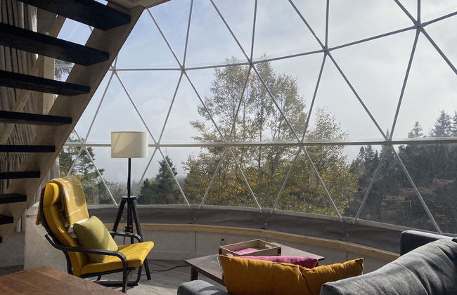 Domaine Renard - Foto 7