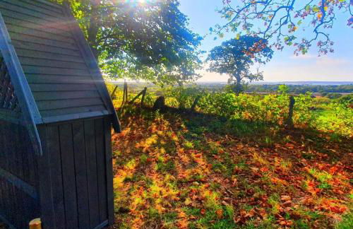 Plas Dinas Country House - Photo 79