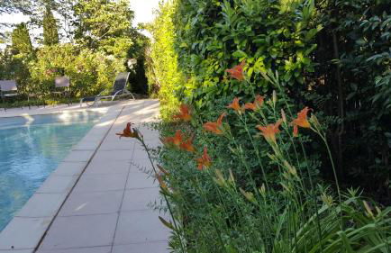 Rêve de Provence Villa avec jardin et piscine - Foto 9