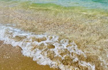 Green House - Foto 33