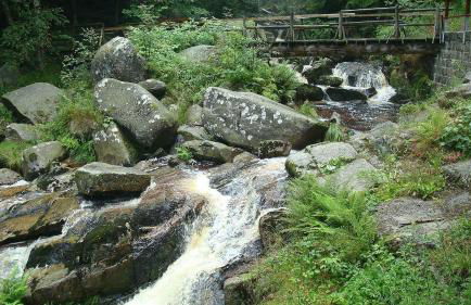 Modernes Ferienhaus im Harz Nähe Wernigerode - Foto 33