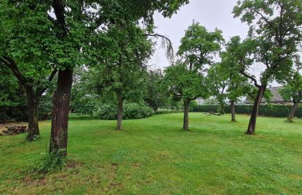 Eifelhof mit Obstbaumwiese - Foto 14