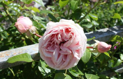 Villa Brodthage, App. 2 - Foto 40