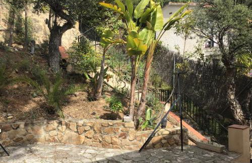 Can De Pino vue mer - Foto 41