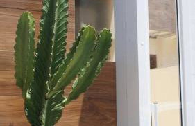 Casa em Cabo Frio com garagem - Foto 25