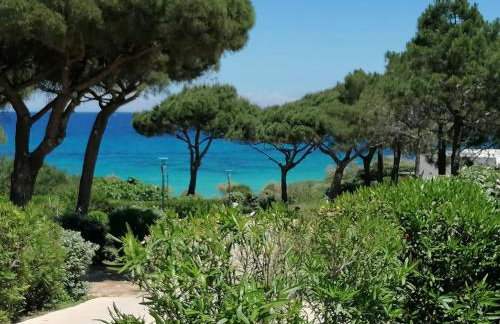 Charmant 3 pièces terrasse climatisé bord de mer - Foto 32