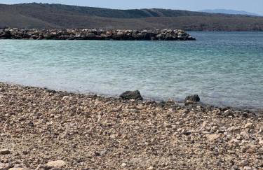 Irma Haus - Photo 21