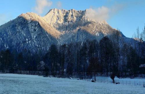 Haus Meinecke - Foto 21