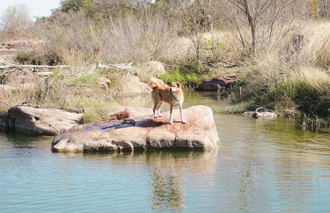 Lazo House - A Riverfront Retreat - Foto 44