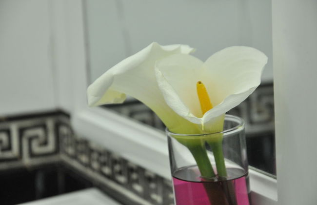 Inroma Holiday Resort - Foto 49