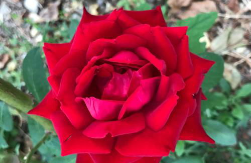 Casa Martino - Foto 58