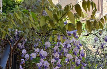 Chianti Borgo 28 - Foto 7