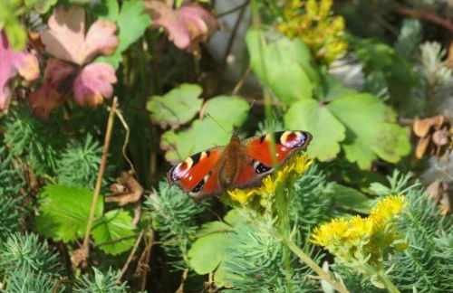 Ferienhaus Waldblick - Foto 33