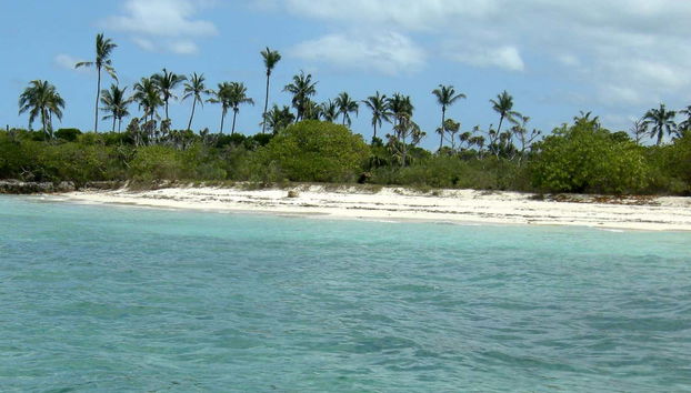 Excursión a la isla de Tumbatu - Foto 2