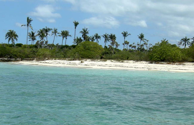 Excursión a la isla de Tumbatu - Foto 2